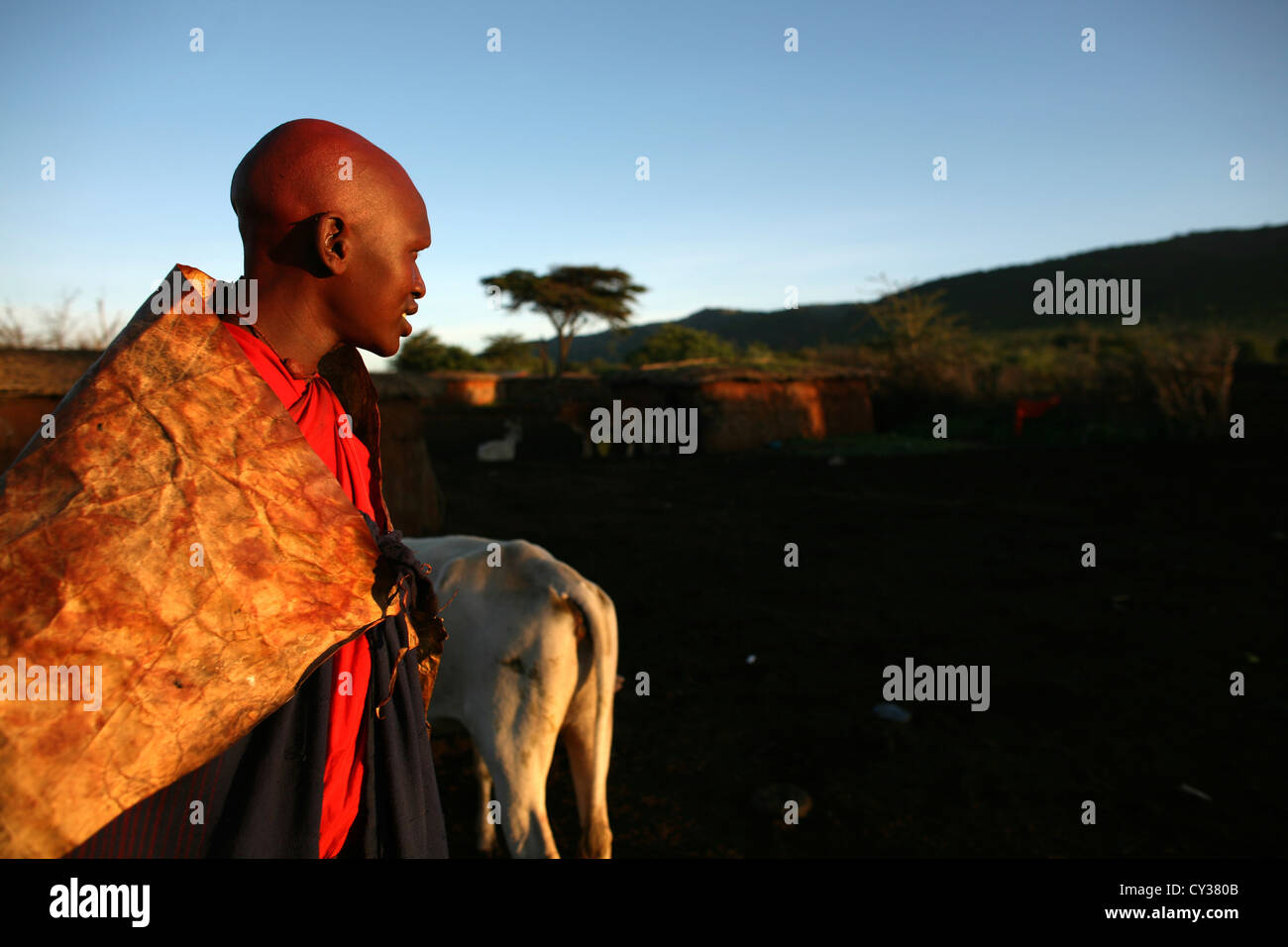 Massai-Stamm in Kenia Stockfoto