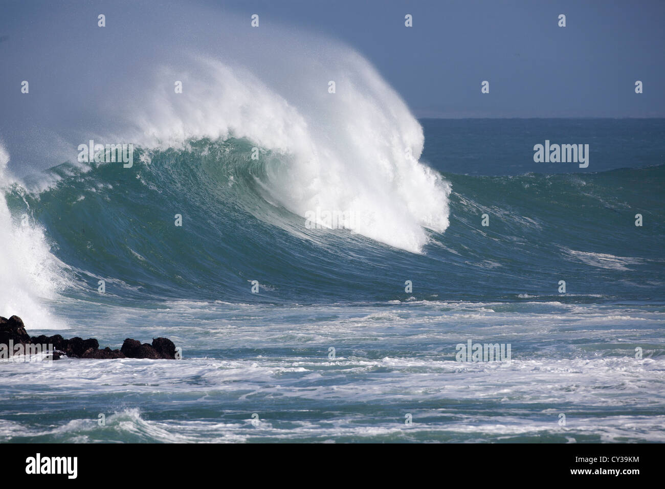 Eine Welle beginnt entlang der kalifornischen Küste crest. Stockfoto