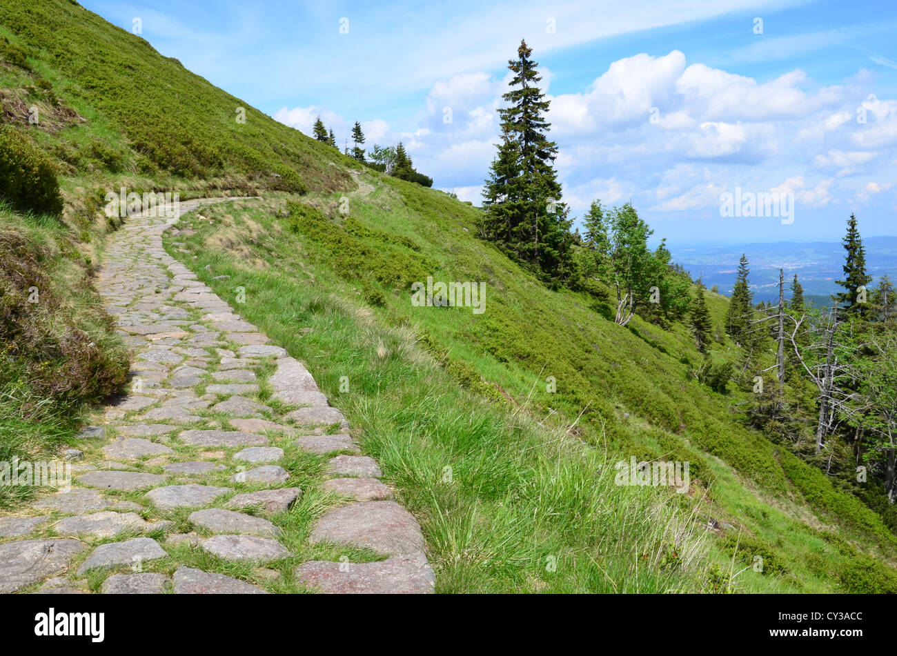 Berg, Trail, hoch, Kluft Himmel Wald Stein Stockfoto