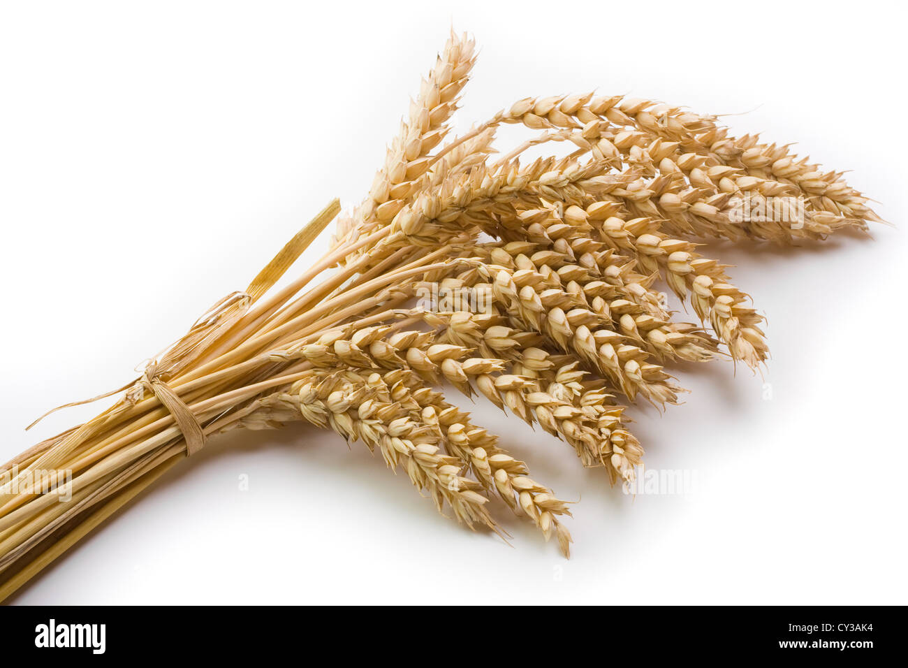 Getreide und Weizen Spike auf hellem Hintergrund Stockfoto