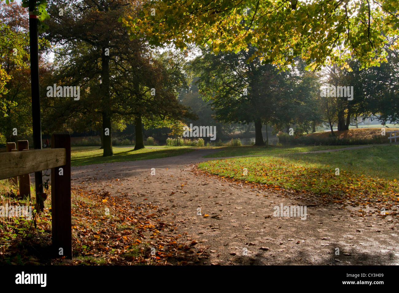 Clingendael Park im Herbst Stockfoto