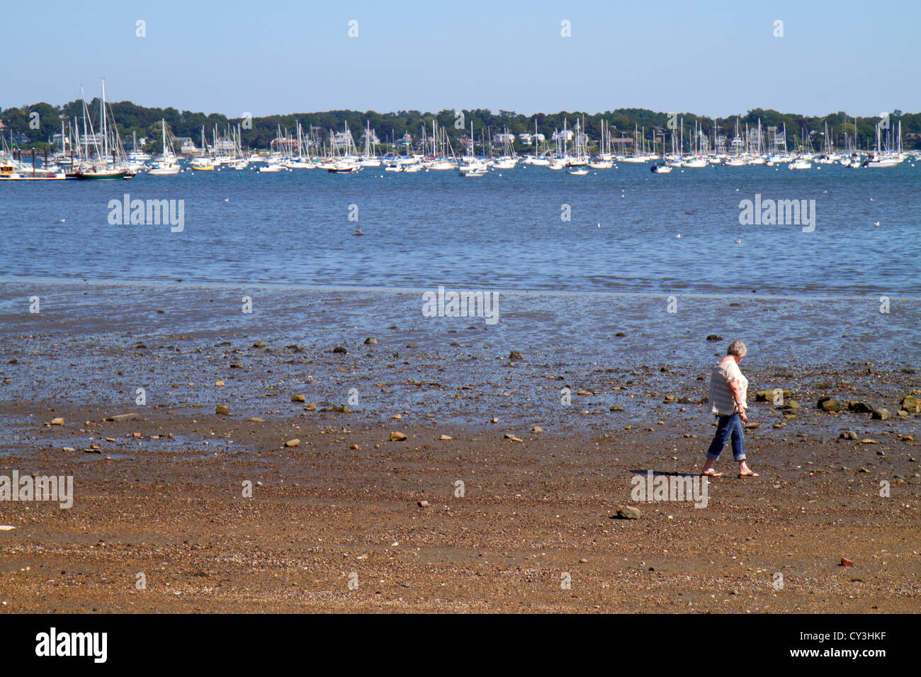 Massachusetts, Nordost, Neuengland, Salem, Salem Sound, historische Stätte von Salem Maritime, Ebbe, Erwachsene Erwachsene Frauen, Frauen, Frauen, Strandkämme Stockfoto