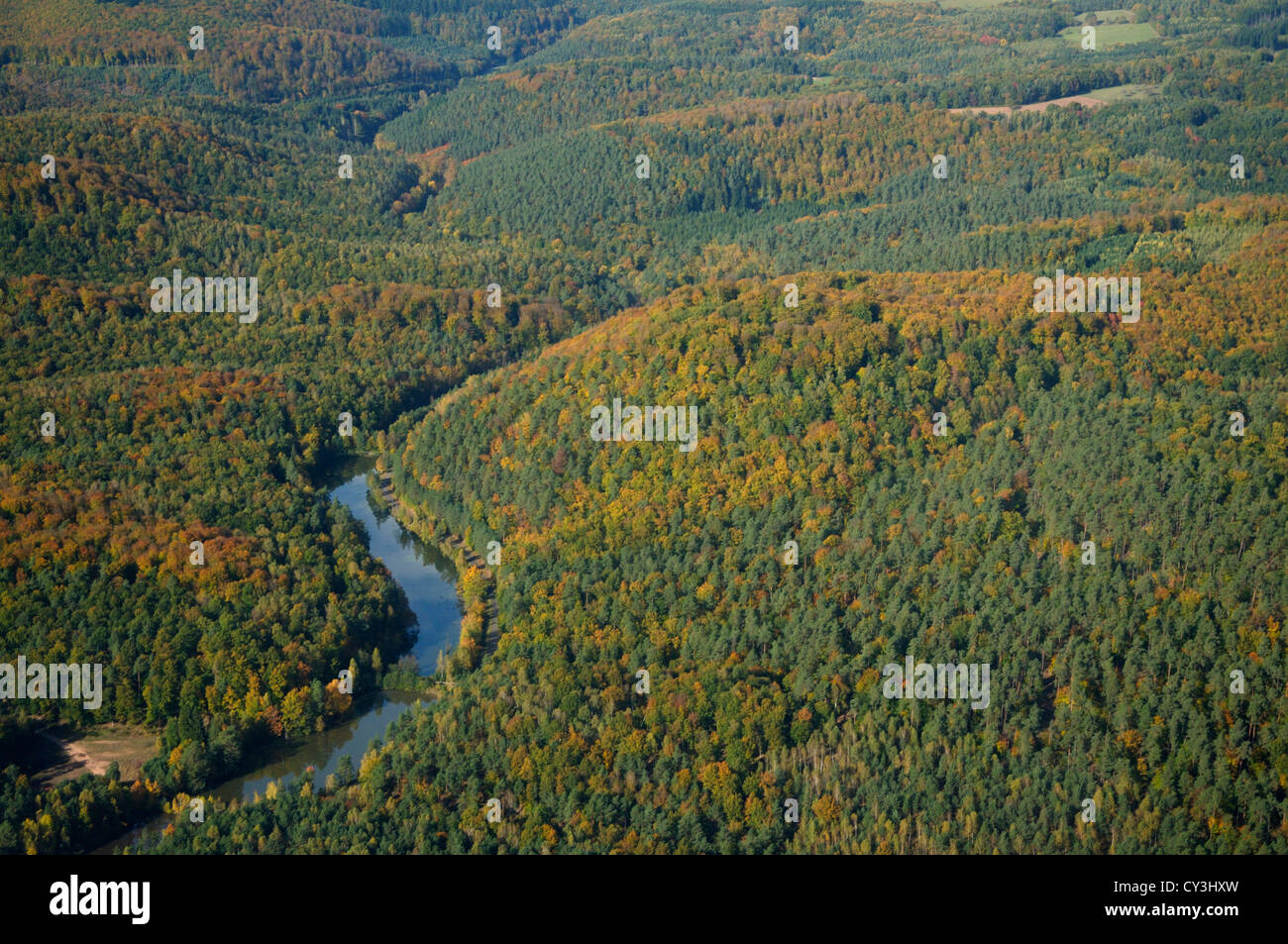 Musbach River, nördlich von Bitche, natürlichen regionalen Park der Nordvogesen, Moselle, Lothringen, Frankreich Stockfoto