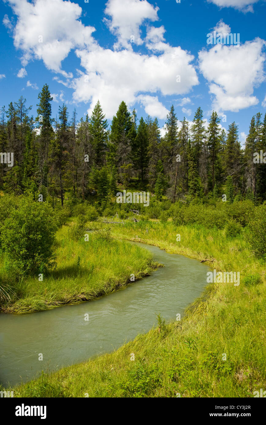Creek Ansicht Kurve Krümmung Stockfoto