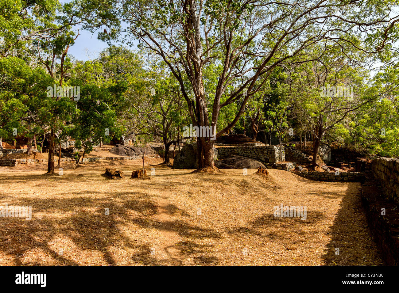 Gärten der Felsenfestung Sigiriya Löwe, Sri Lanka Stockfotografie Alamy
