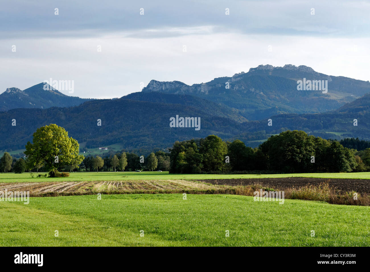 Bayerischer Hof Landschaft zum Kampenwand Berg, obere Bayern Chiemgau Stockfoto