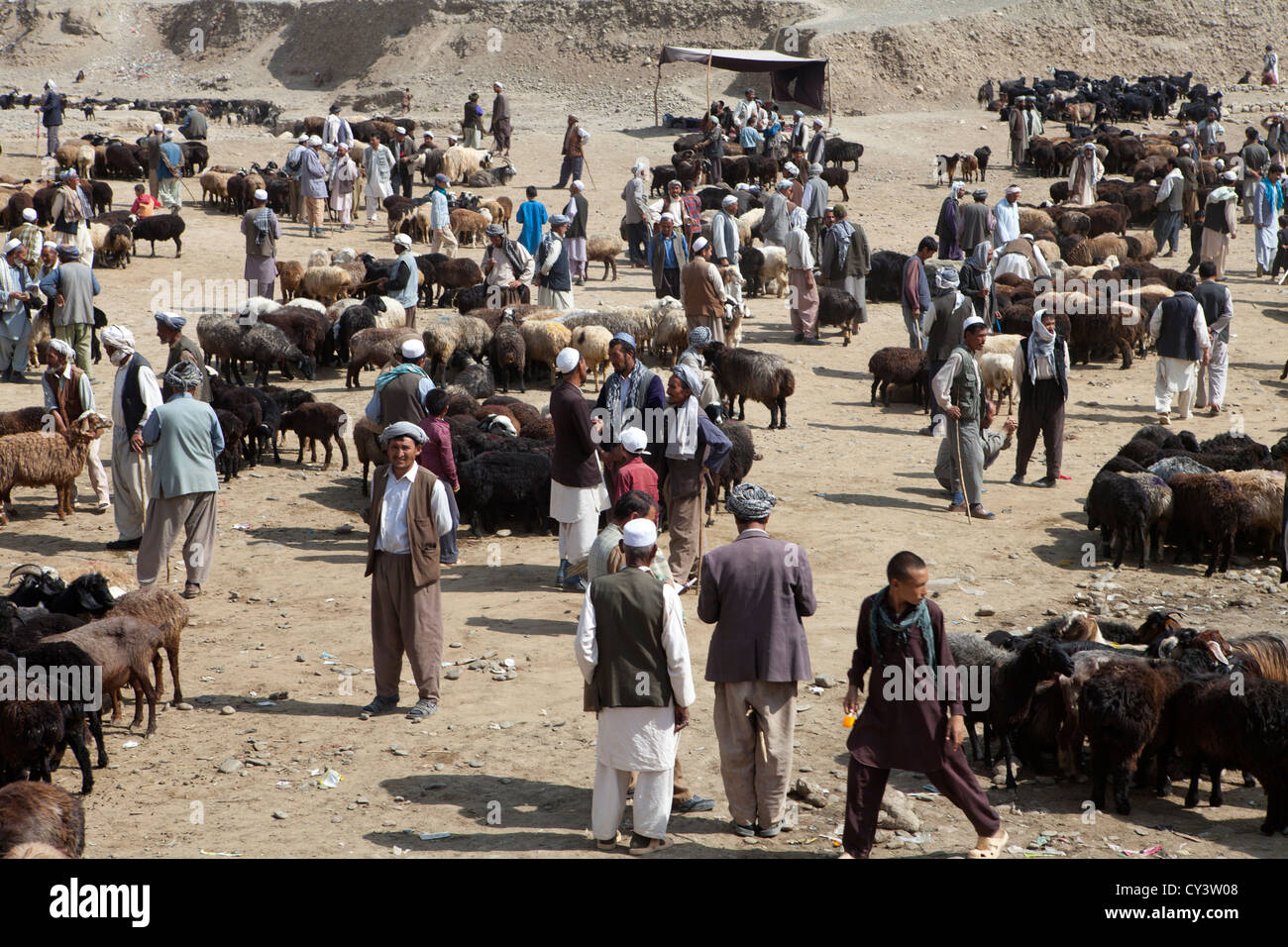 Viehmarkt in Kabul, Afghanistan Stockfoto