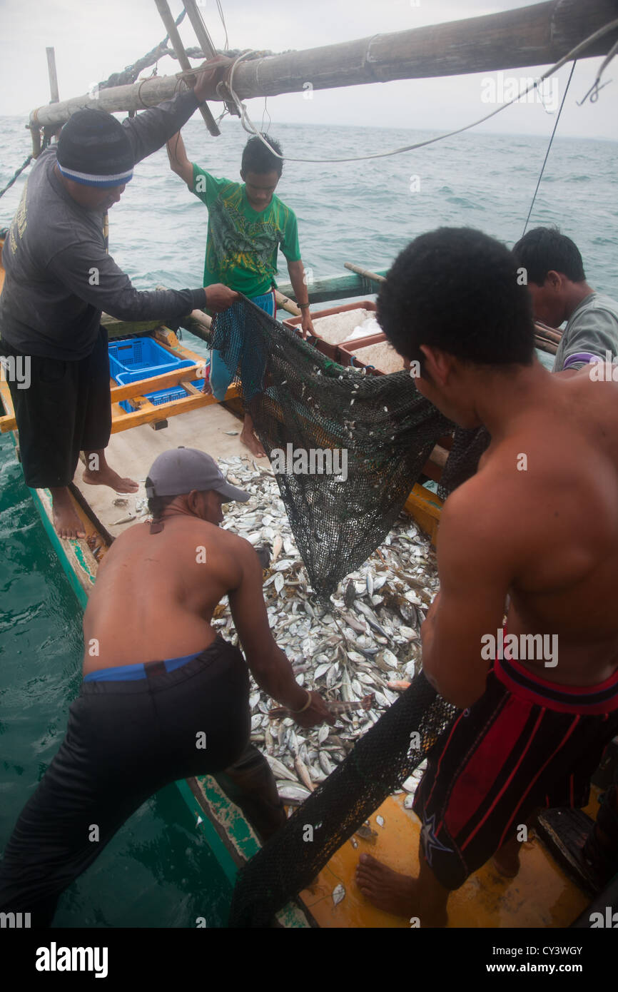 Fischerei vor der Küste der Philippinen. Es scheint, um einen guten Fang mit der net voll von Fisch und Muscheln. Stockfoto