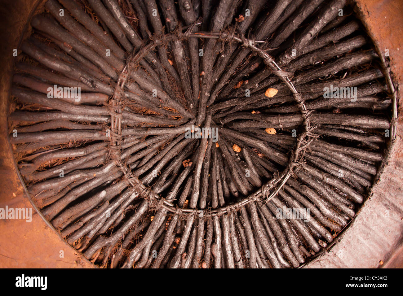 Himbas in Namibia. Stockfoto