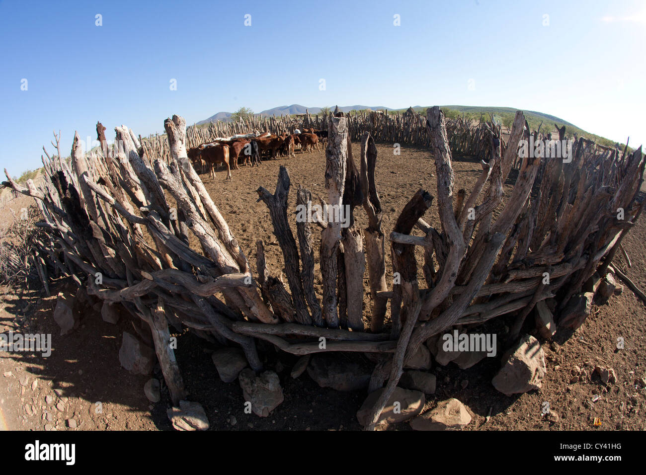 Himbas in Namibia. Stockfoto