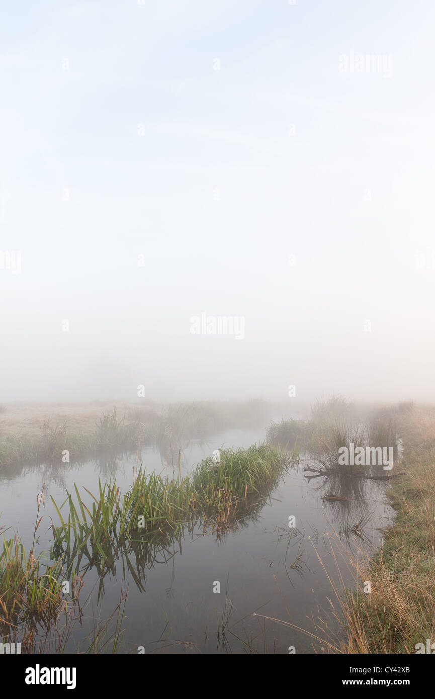 Sonnenaufgang durch frühen Morgennebel Sommer erstellt von Fluß Darent steigt auf nahe gelegenen Feldern launisch neblige Gefühl verborgen Formen Stockfoto