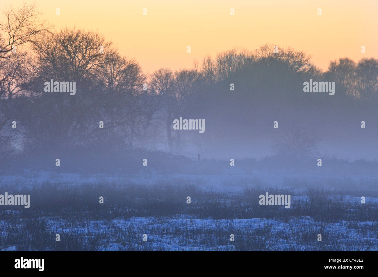 Europa, Frankreich, Bretagne, Morbihan (56), verschneite Landschaft in der Abenddämmerung, die Faouet Stockfoto