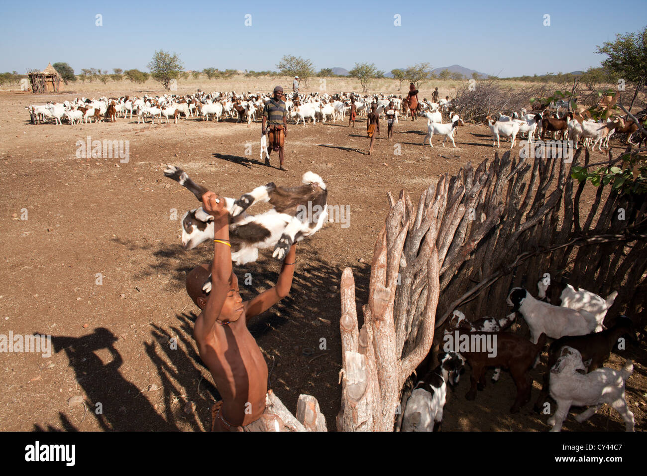 Himbas in Namibia. Stockfoto