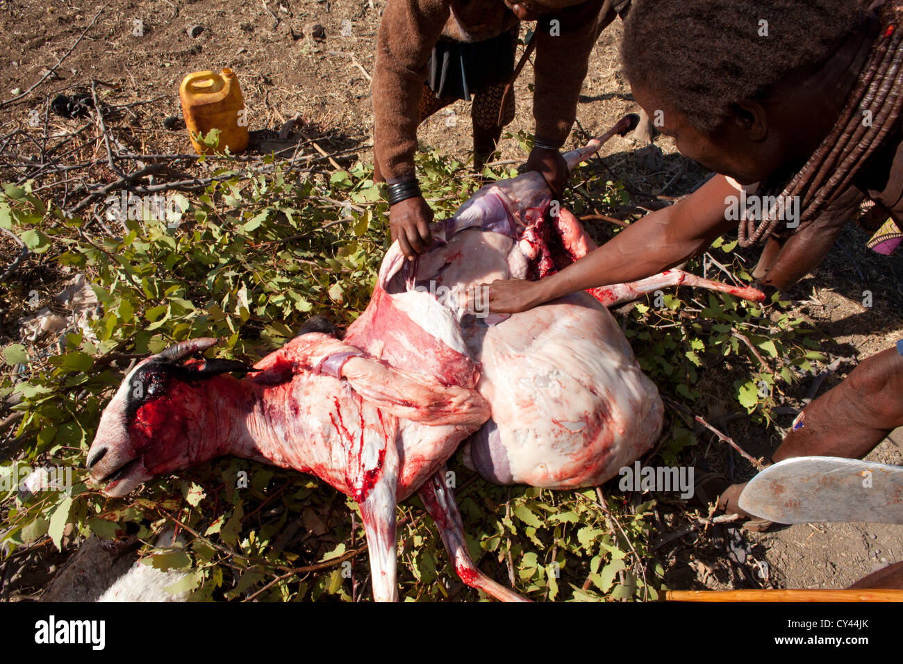 Himbas in Namibia. Stockfoto
