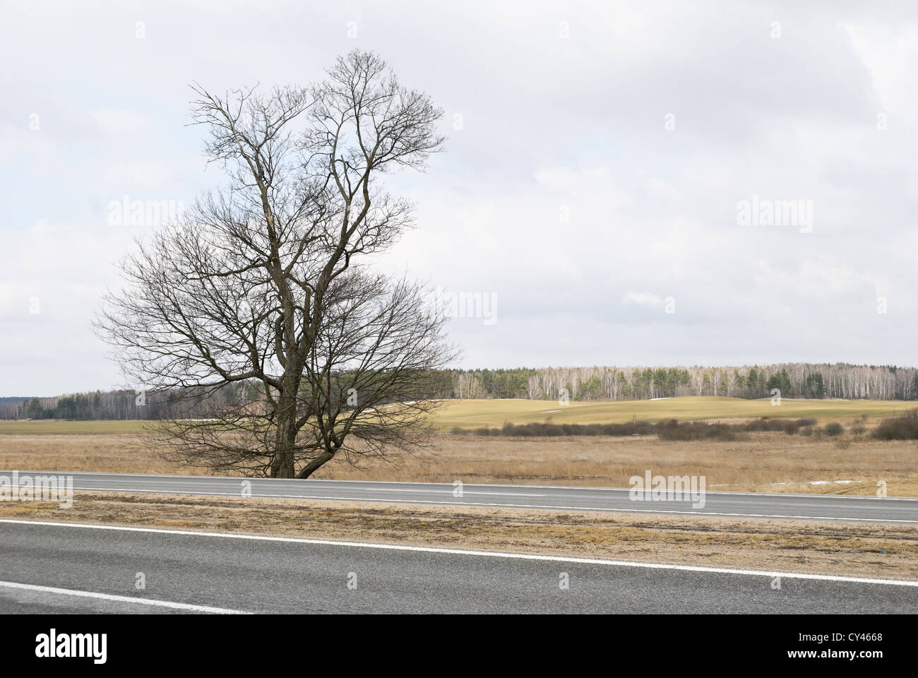 Landschaft in Europa im März. Auf Feldern ist Schnee aufgetaut. Natur erwacht nach dem Winterschlaf Stockfoto