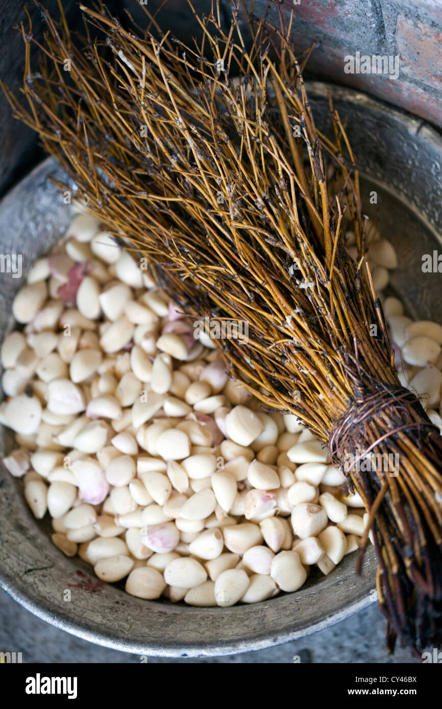 Details zu Pinsel und geschälte Knoblauchzehen in Adie Küche während einer Wazwan, einem traditionellen Kashmiri fest, Srinagar, Kaschmir, Indien Stockfoto