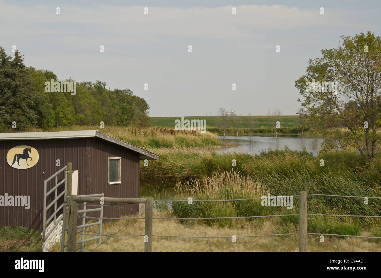 Pferd füttern und Geräte Schuppen auf einer Farm in Kanada Stockfoto