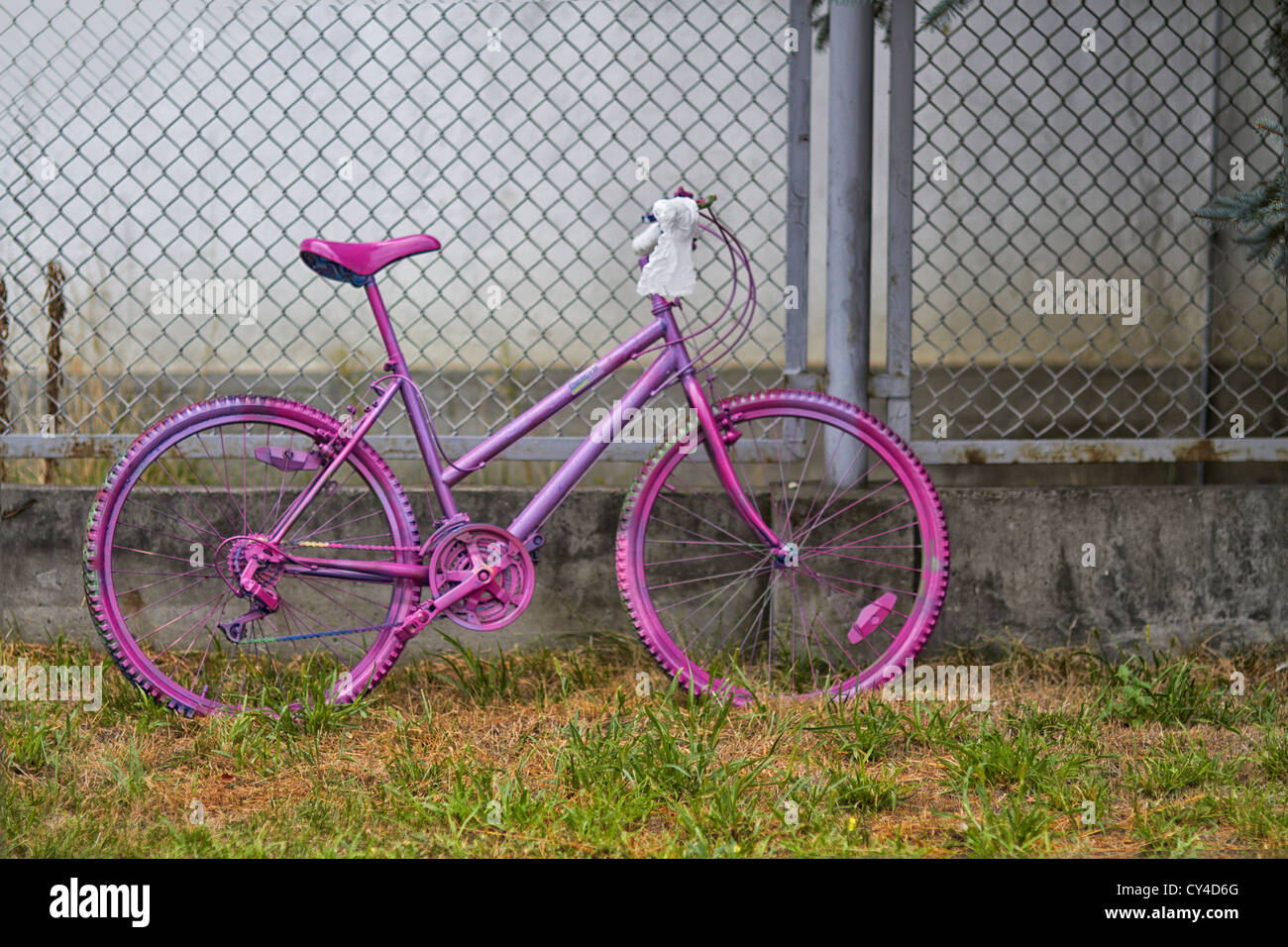 rosa lackiert Fahrrad Stockfoto