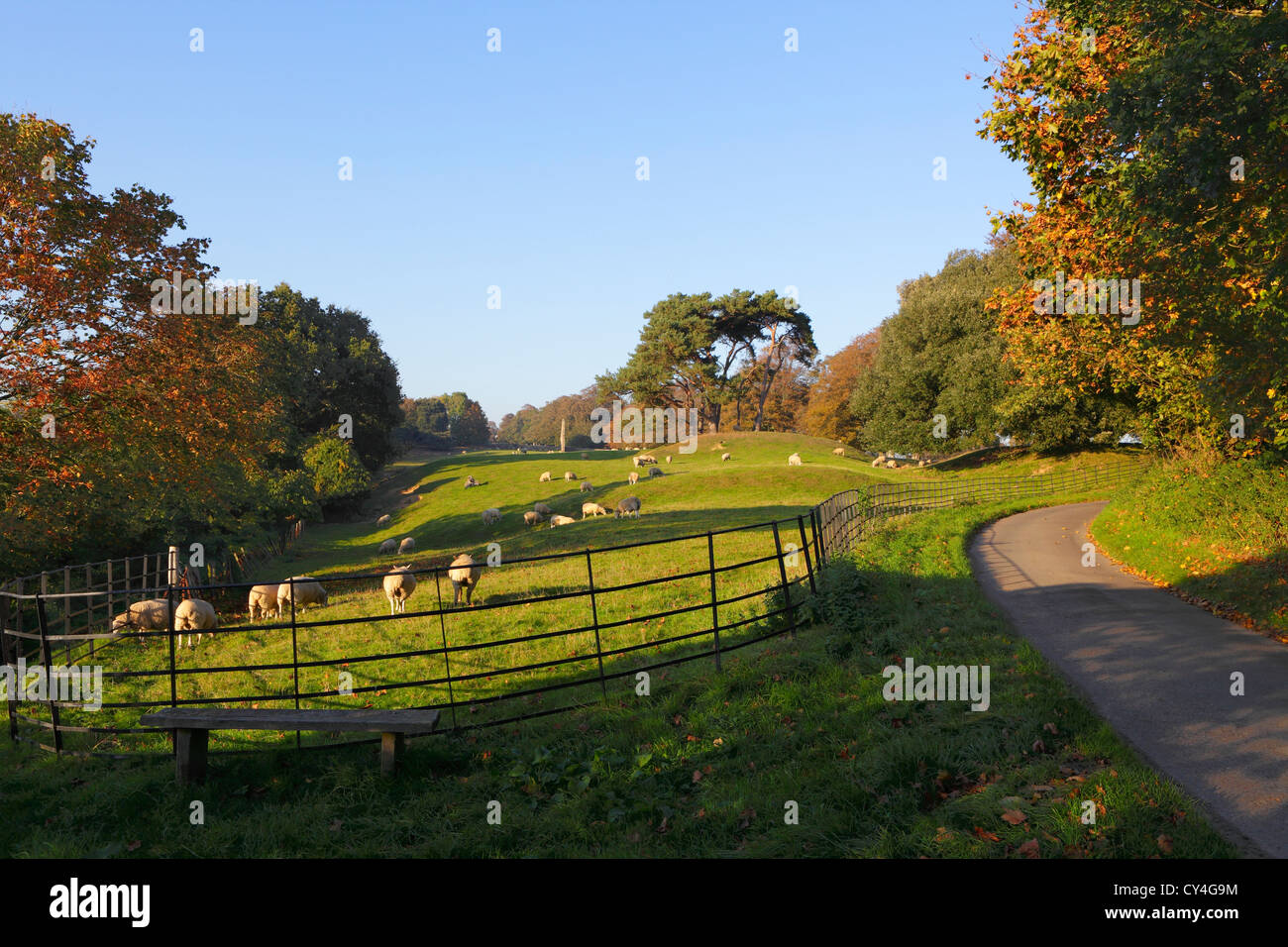 Feldweg neben einem Feld von Schafen, Winchelsea, East Sussex, UK, GB Stockfoto