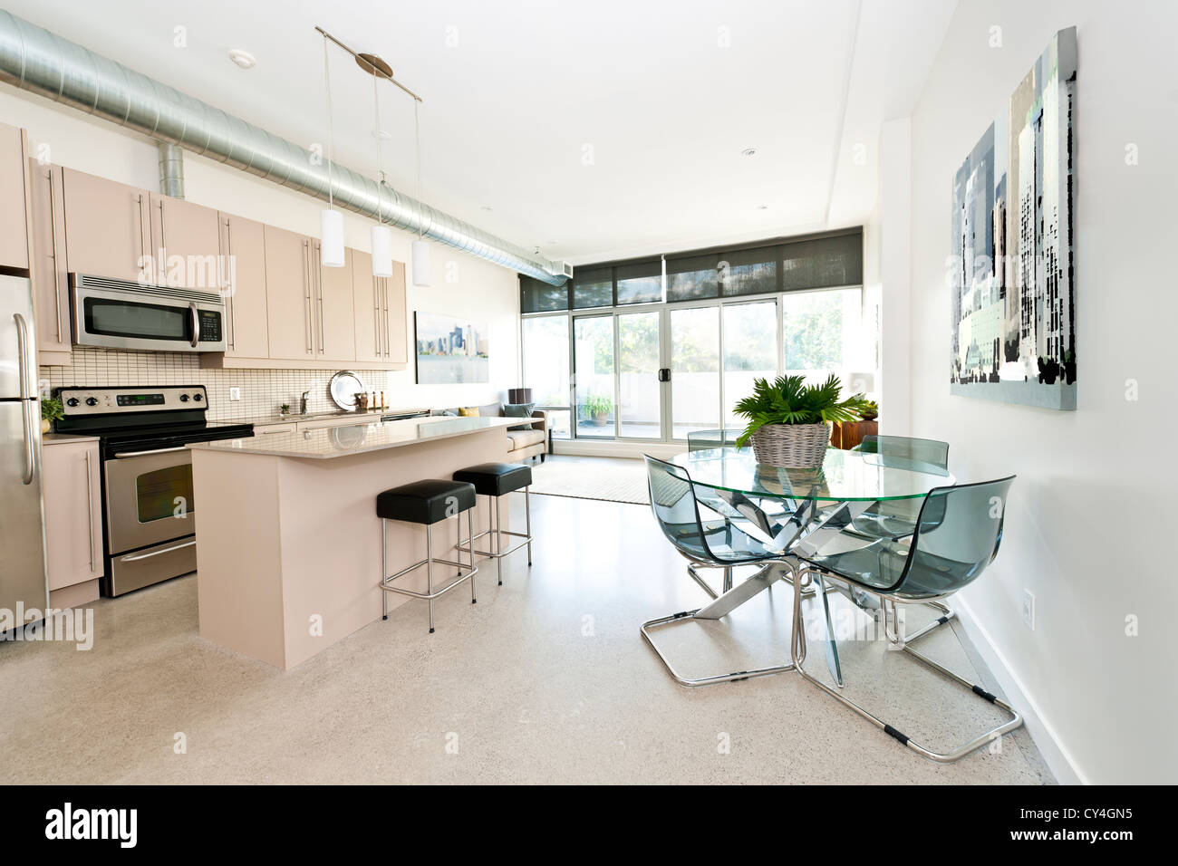 Küche, Ess- und Wohnzimmer der Wohnung - Kunstwerk aus Fotograf portfolio Stockfoto
