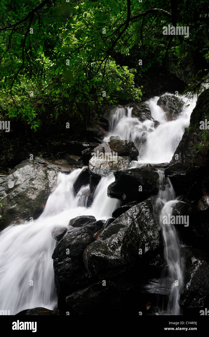 Milchiges Wasser fällt Stockfoto