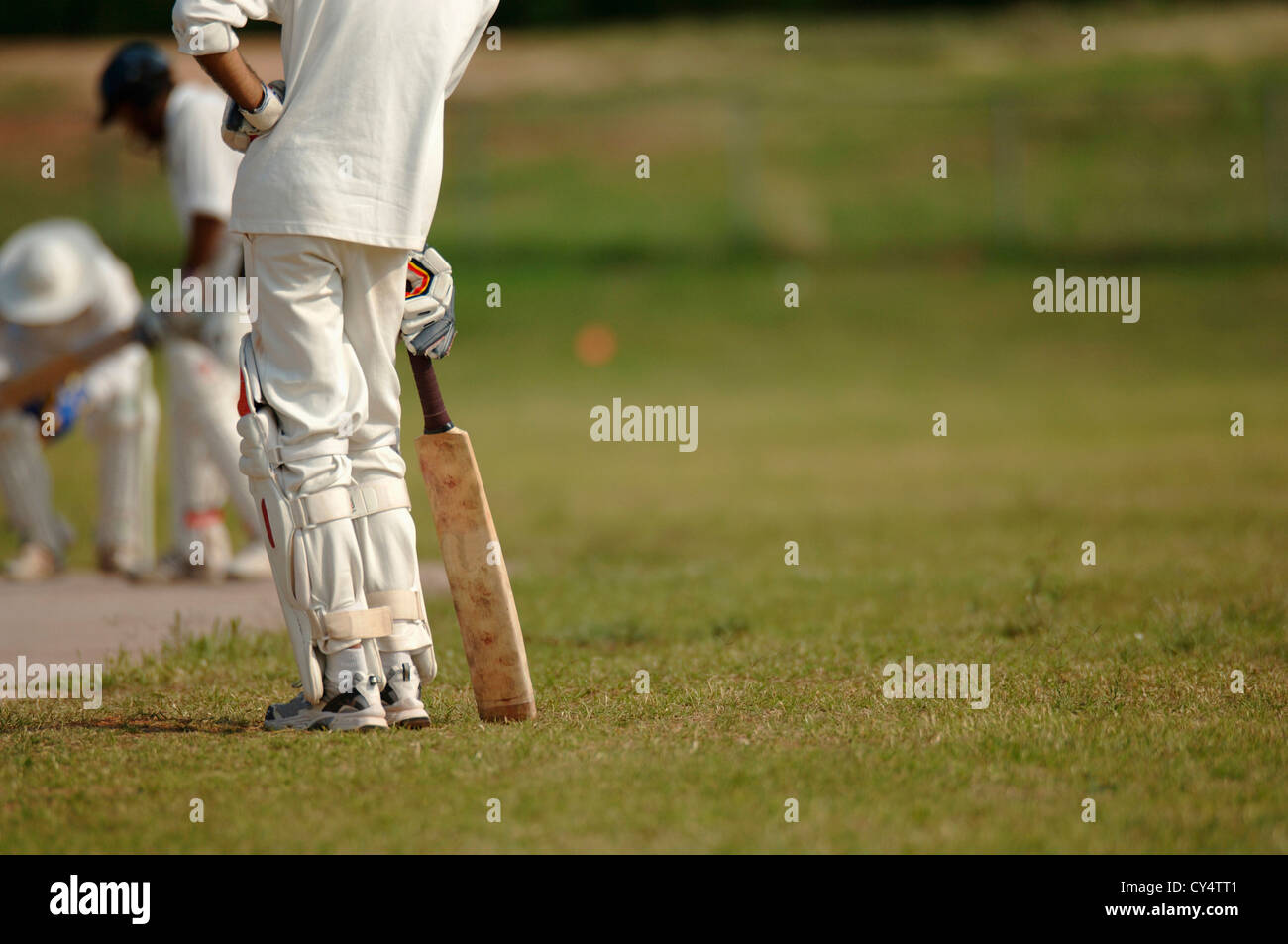 Cricket-Spiel Stockfoto