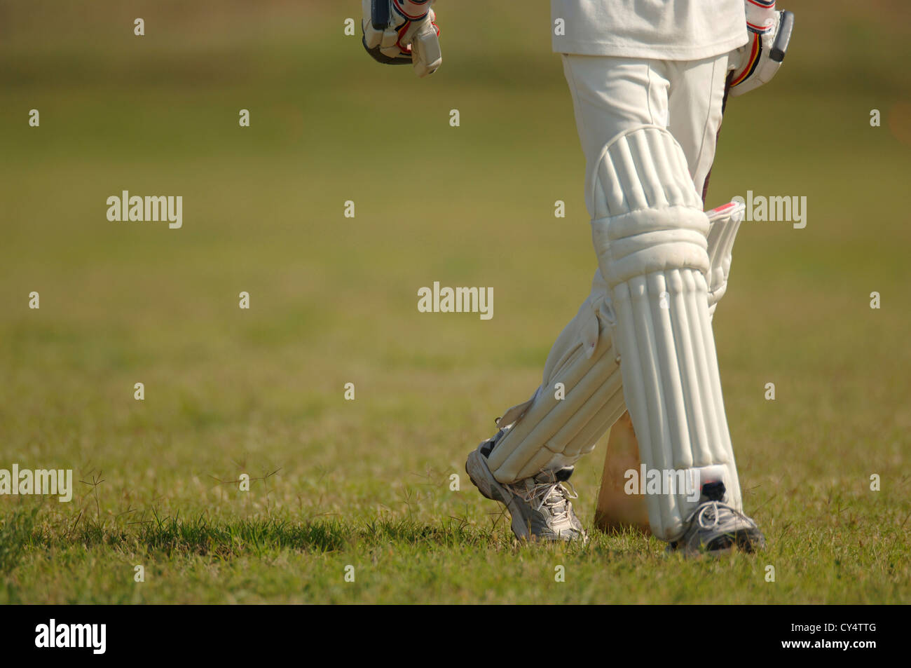 Cricket-Spiel Stockfoto