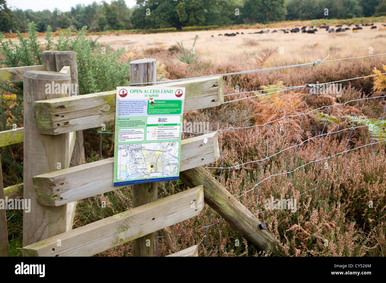 Zeichen zuordnen Open Access Land Erhaltung der Hebridean Schafe weiden Sutton Heath, Suffolk, England Stockfoto