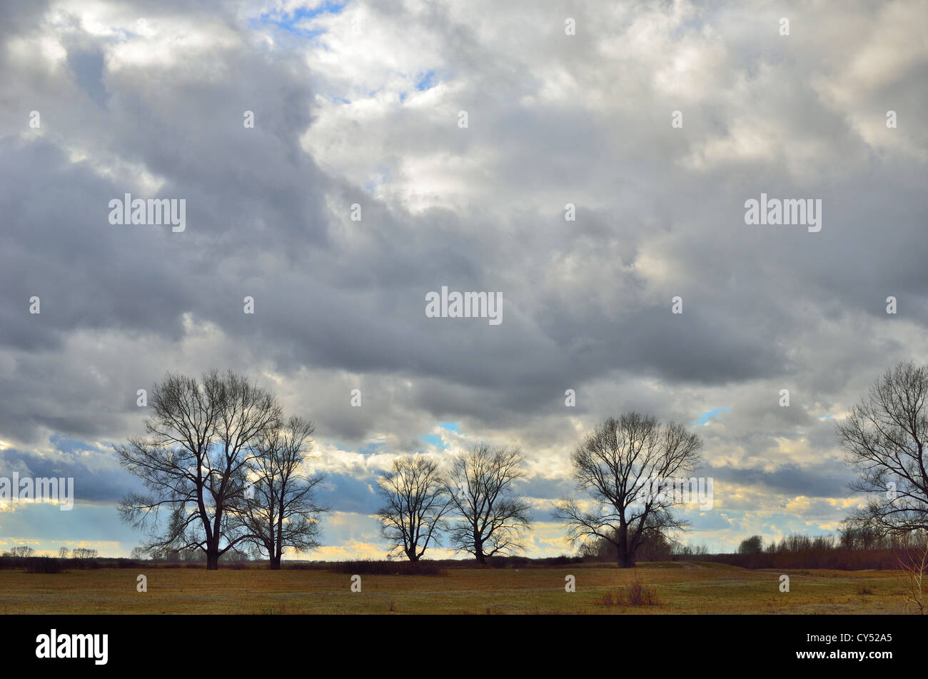 herbstliche Bäume vor bewölktem Himmelshintergrund Stockfoto
