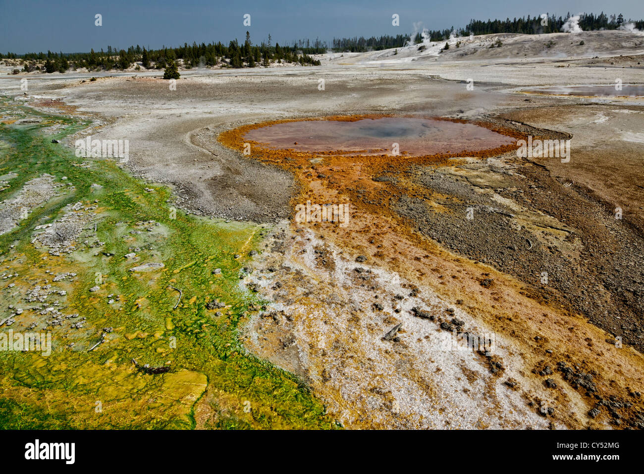 Whirlygig Geysir im Yellowstone Norris-Geysir-Becken Stockfoto