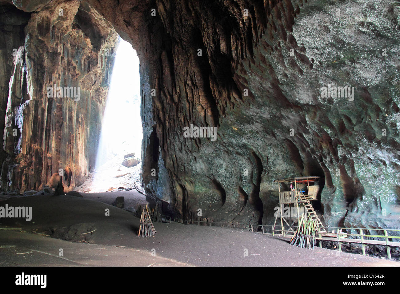 Schwarze Höhle, Gomantong Höhlen, unteren Kinabatangan Bereich, Sandakan District, Sabah, Borneo, Malaysia, Südost-Asien Stockfoto