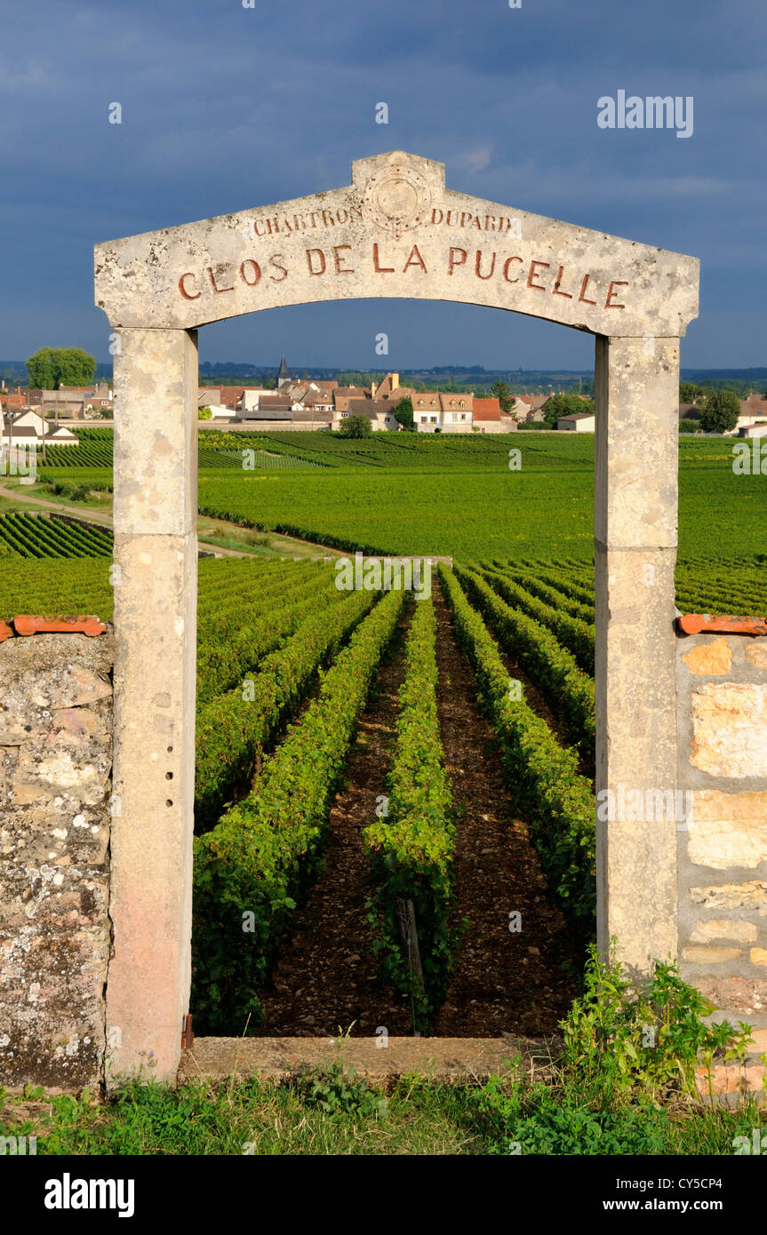 Tor zum Weinberg Clos de la Pucelle, Puligny Montrachet, Cote d'Or, Burgund, Frankreich, Europa Stockfoto