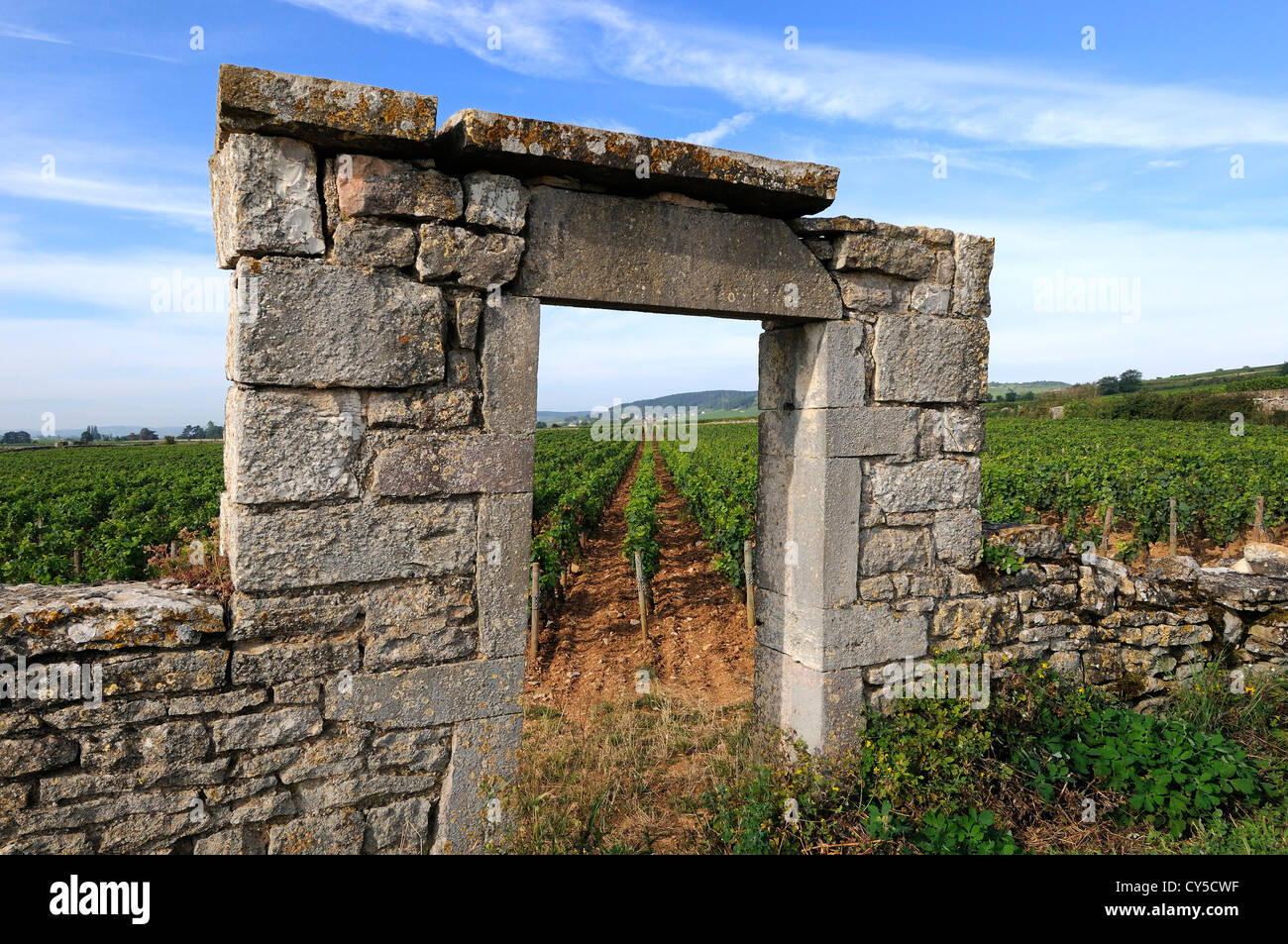 Portal der Weinberg in Burgund in der Nähe von Beaune, Cote d ' or, Frankreich, Europa Stockfoto