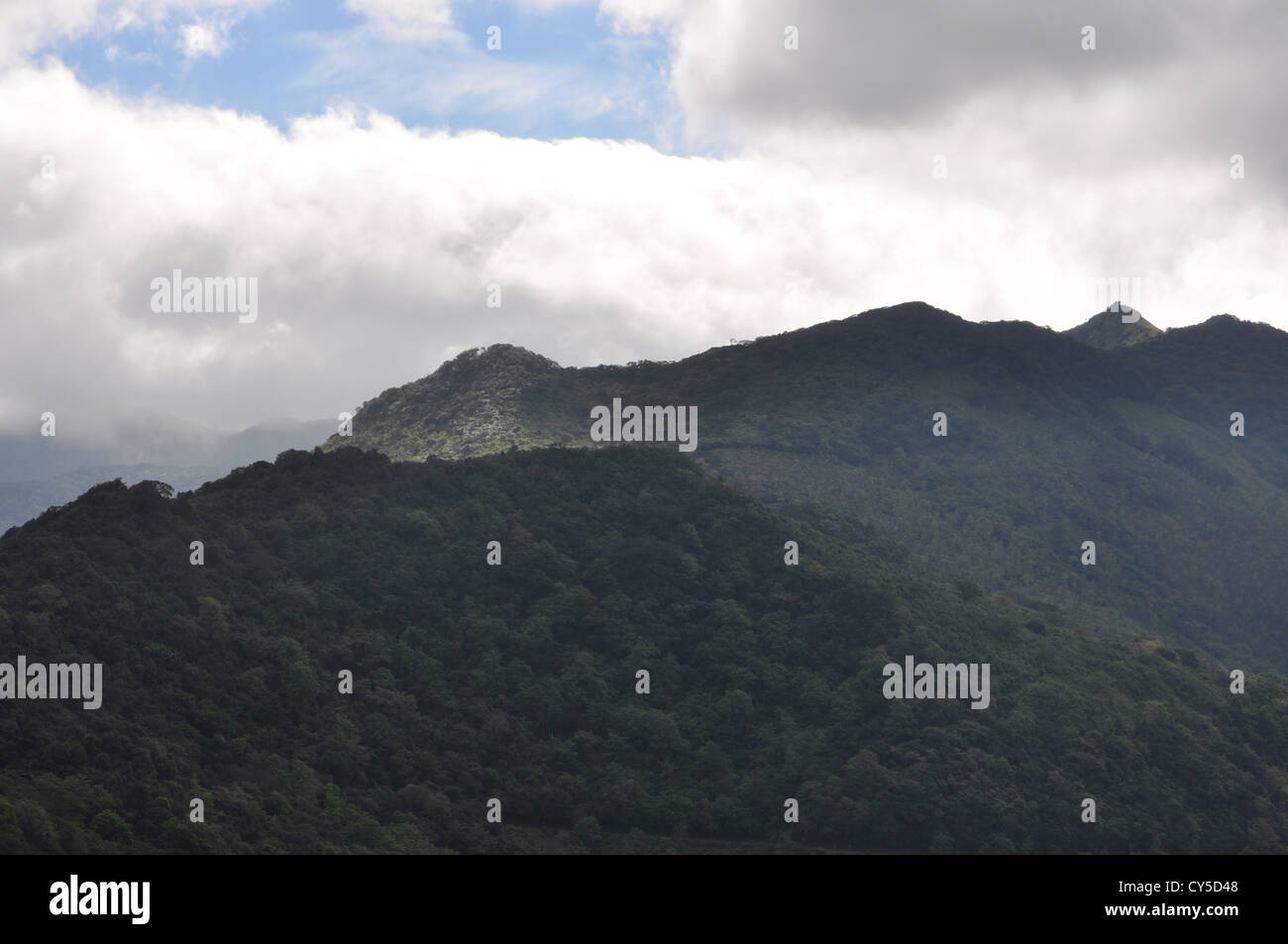 Ponmudi Hills Stockfoto