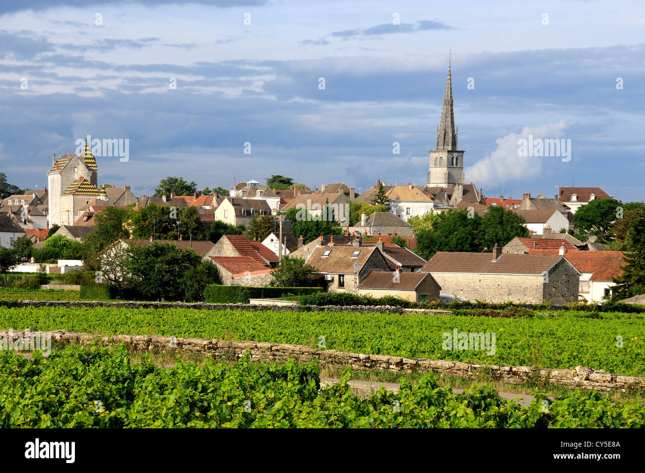 Weinberg am Dorf von Meursault, Burgund Weinstraße, Cote d ' or, Burgund, Frankreich Stockfoto