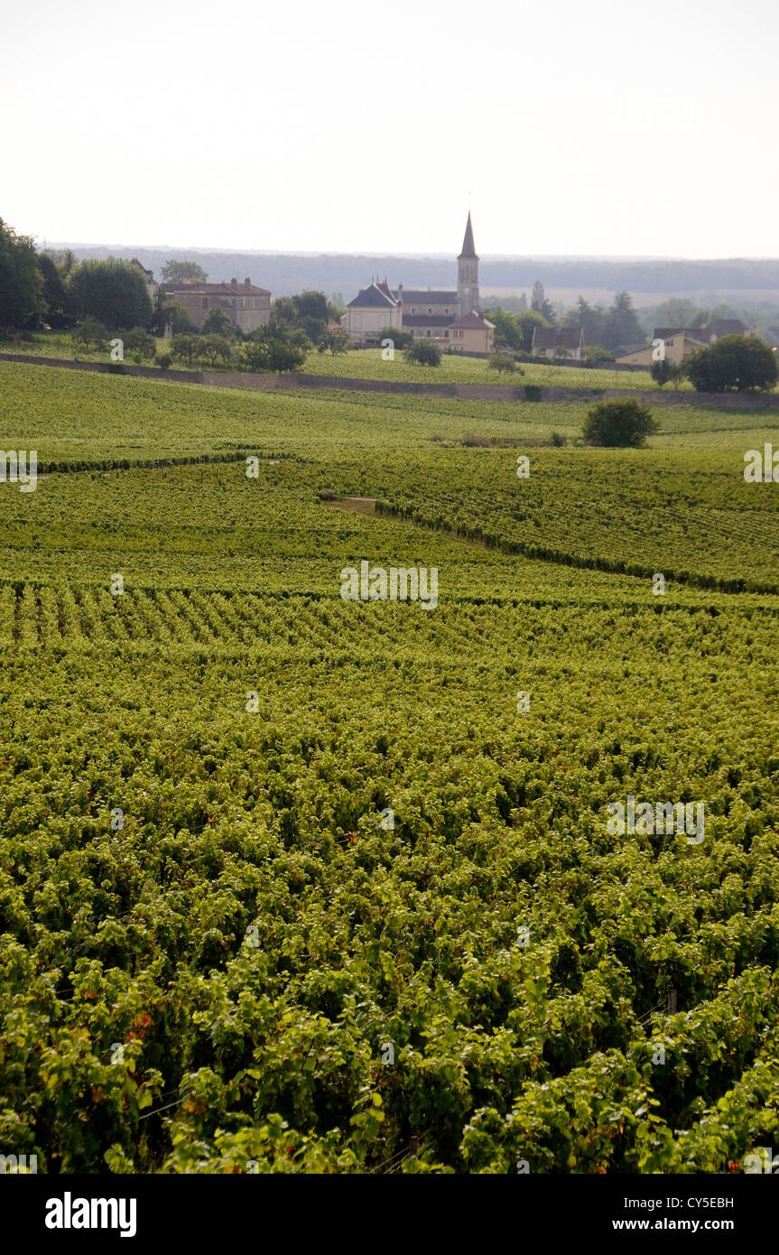 Dorf Aloxe-Corton, Cote de Beaune, Cote d'Or. Burgunder. Bourgogne Franche Comte. Frankreich Stockfoto