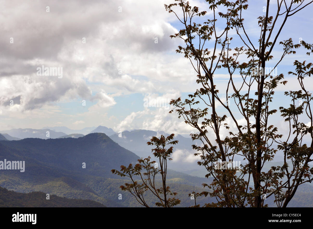 Die Skyline Ponmudi Hills, Kerala, Indien Stockfoto