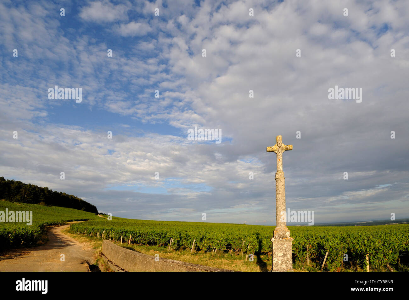 Überqueren Sie das Dorf Monthelie. Cote d'Or, Bougogne Franche Comte. Frankreich, Europa Stockfoto