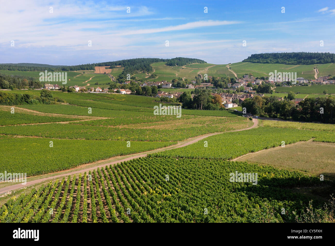 Dorf Mercurey umgeben von Weinbergen, Saône et Loire, Côte Chalonnaise, Bourgogne Franche Comte, Frankreich, Europa Stockfoto