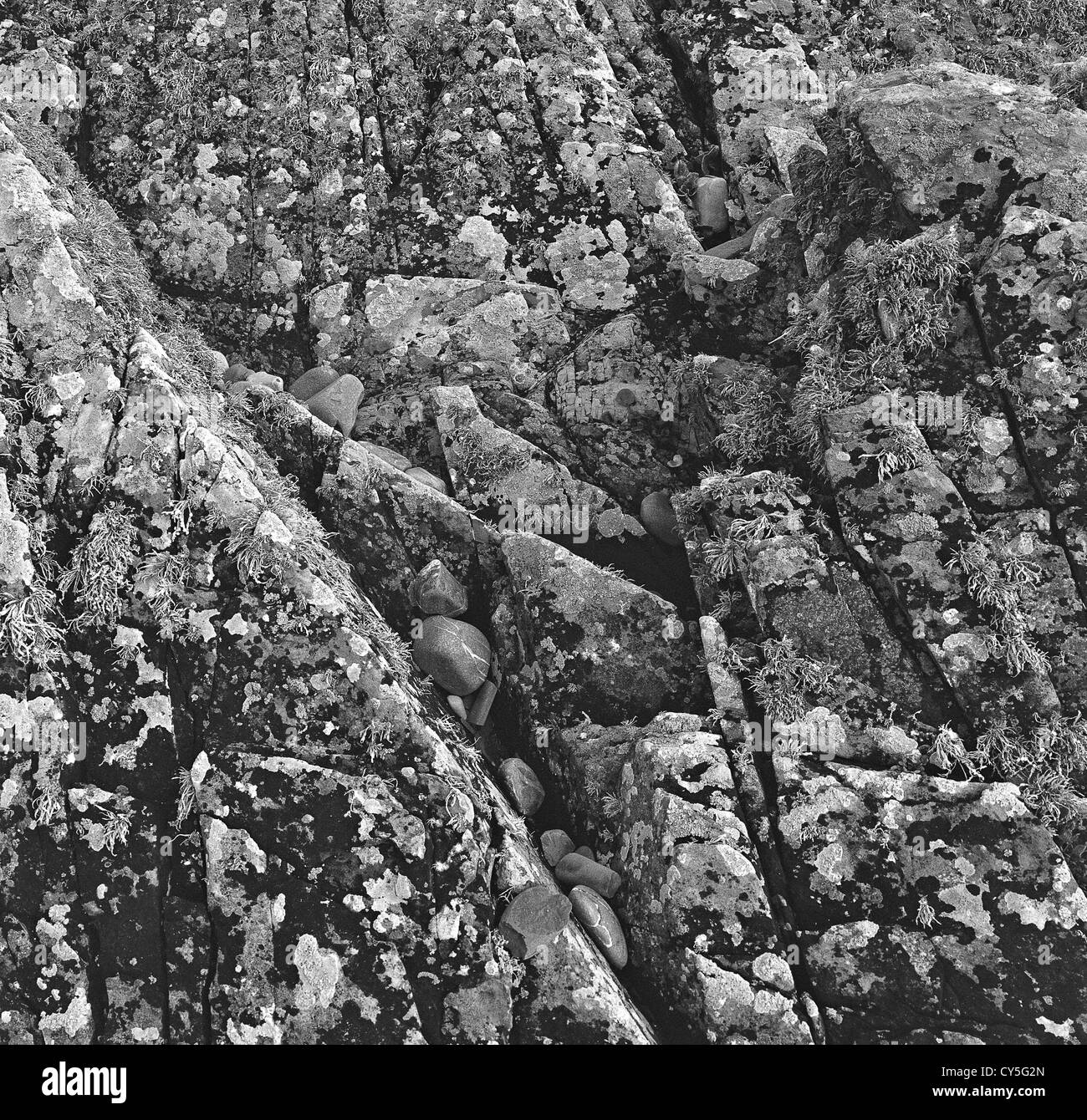 Felsen und Kieselsteine, Küste, Kearney Punkt, Co Down, Nordirland Stockfoto