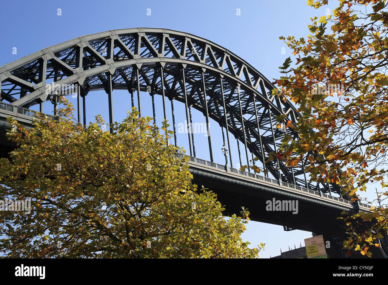 Die Tyne Bridge gesehen durch herbstliche Blätter Newcastle, Nord-Ost England UK Stockfoto