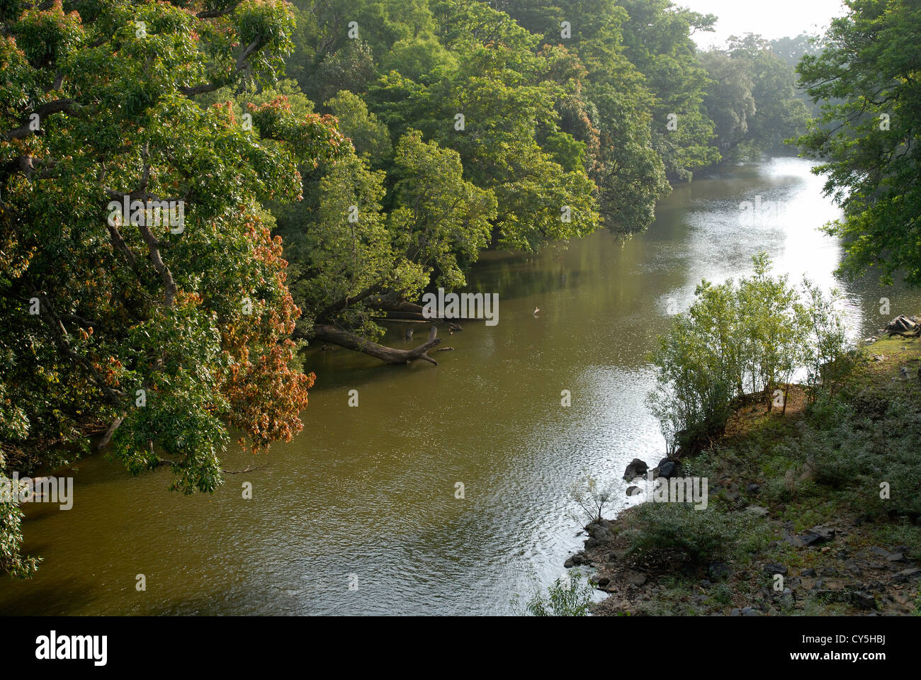 Fluss in Baralikkadu Eco-touristischen Ort im Athikkadavu Bereich der Western Ghats in der Nähe von Coimbatore, Tamil Nadu, Indien Stockfoto