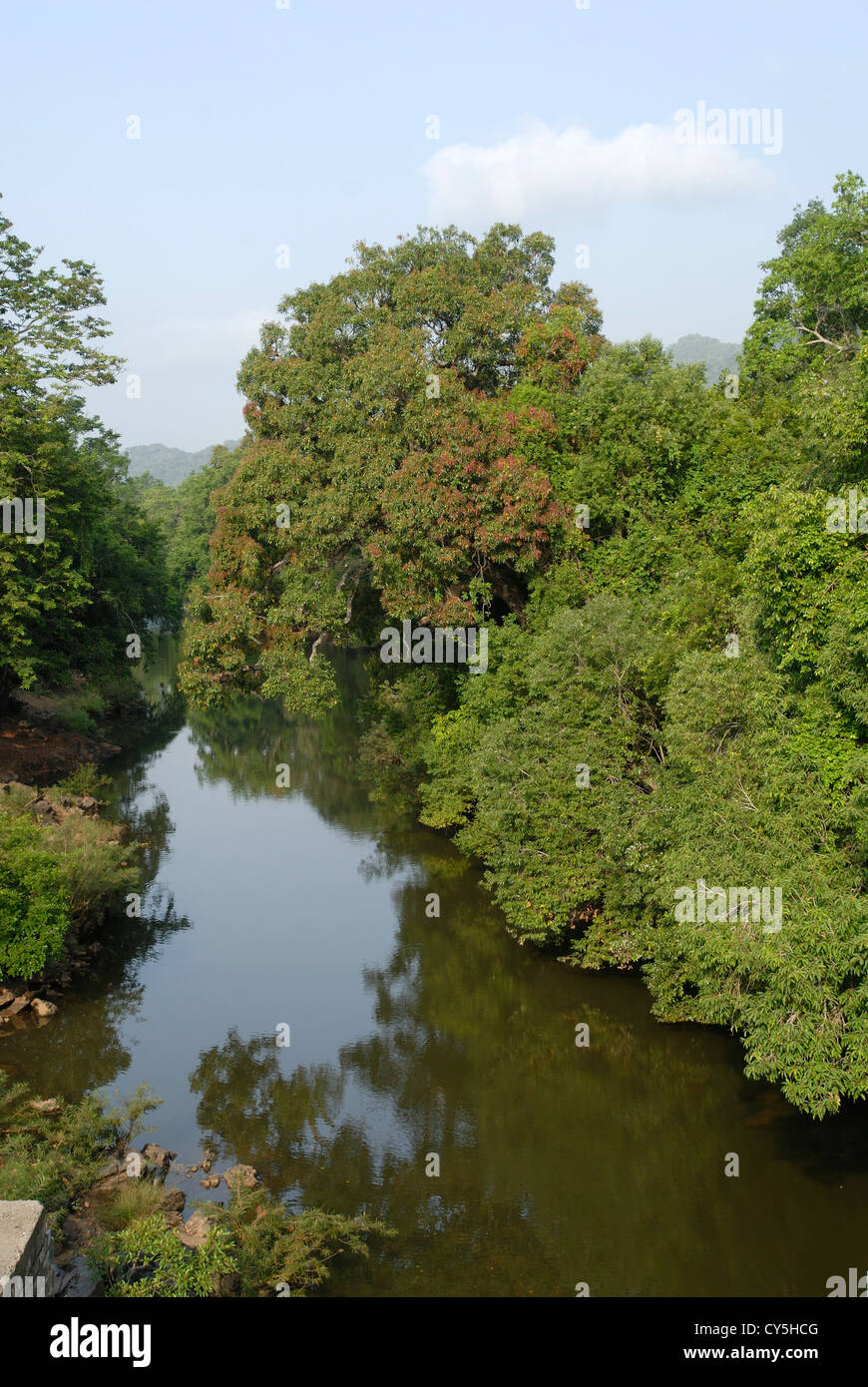 Fluss in Baralikkadu Eco-touristischen Ort im Athikkadavu Bereich der Western Ghats in der Nähe von Coimbatore, Tamil Nadu, Indien Stockfoto