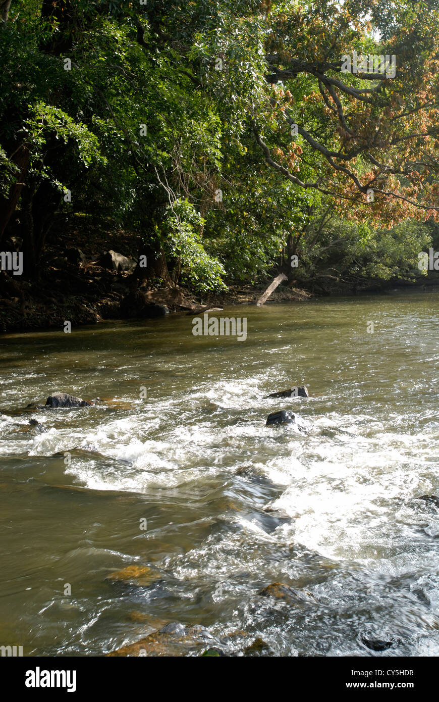 Fluss in Baralikkadu Eco-touristischen Ort im Athikkadavu Bereich der Western Ghats in der Nähe von Coimbatore, Tamil Nadu, Indien Stockfoto