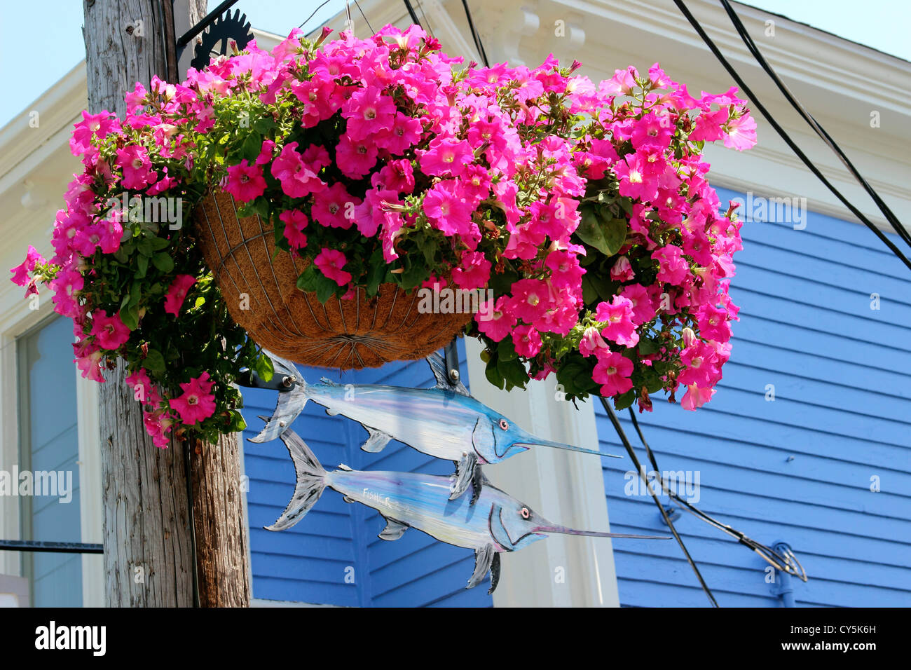 Kanada Nova Scotia Eastern Shore Atlantic Coast Lunenburg Seeprovinzen bunte Straße Zeichen Montague St. Darstellung lokaler Stockfoto