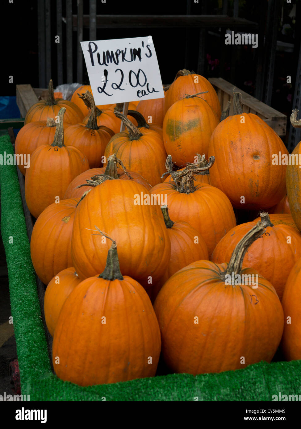 Kürbisse zum Verkauf im Borough Market, London, vor Halloween feiern Stockfoto