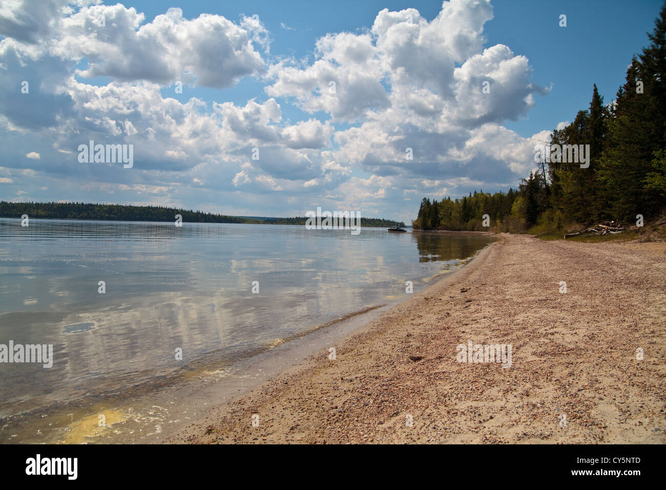 Der Strand von Murray Dole Zeltplatz in Meadow Lake Provincial Park, Saskatchewan, Kanada. Stockfoto