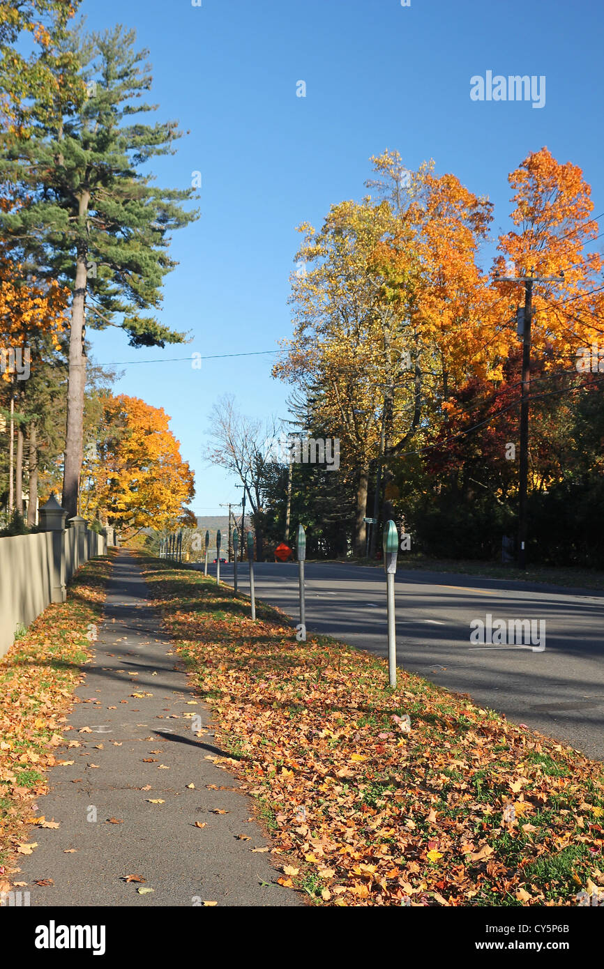 Herbst Blick auf einen Bürgersteig und Straße in Amherst, Massachusetts Stockfoto