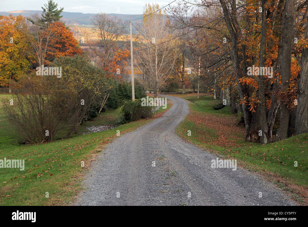 Eine Schotterstraße durch die herbstliche Landschaft in Westminster, Vermont Stockfoto