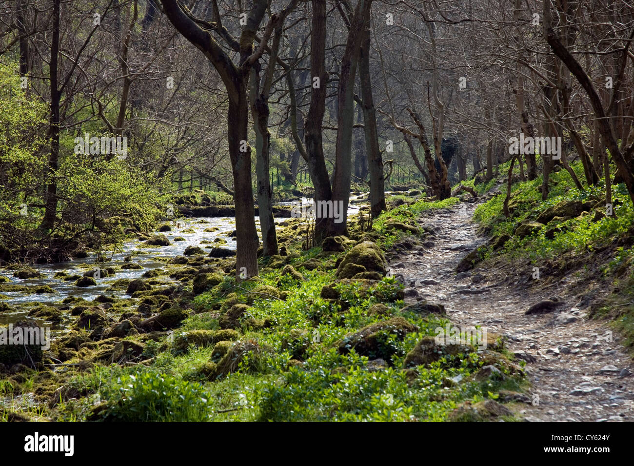 Wanderweg neben Fluss, Lathkill Dale, Derbyshire Stockfoto
